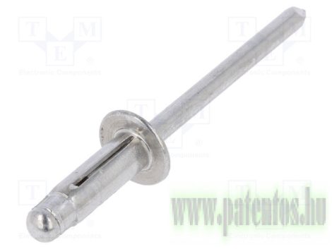 Popszegecs, 9,8*4,8*15,5, 10 db/csomag, Fiat, Ford, Renault